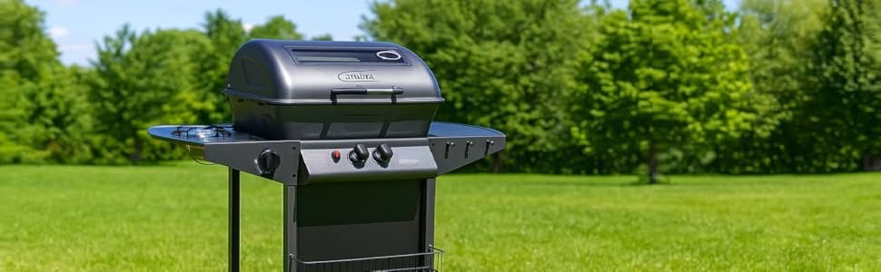 Contenuto visuale A plus del barbecue Alabama Ambra Garden
