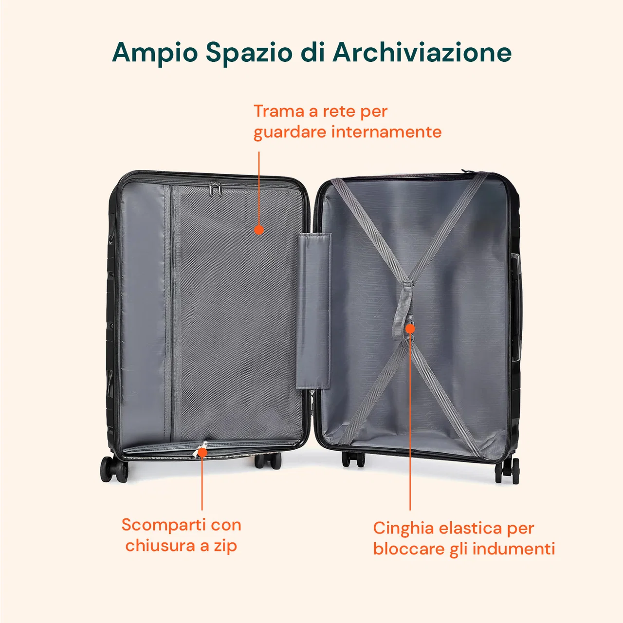 Interno organizzato del trolley con divisorio e cinghie